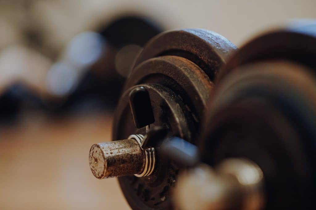 calisthenics trainingsplan