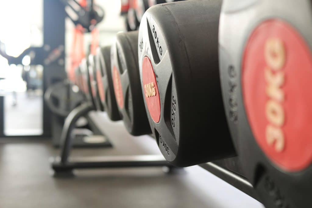 calisthenics workout plan