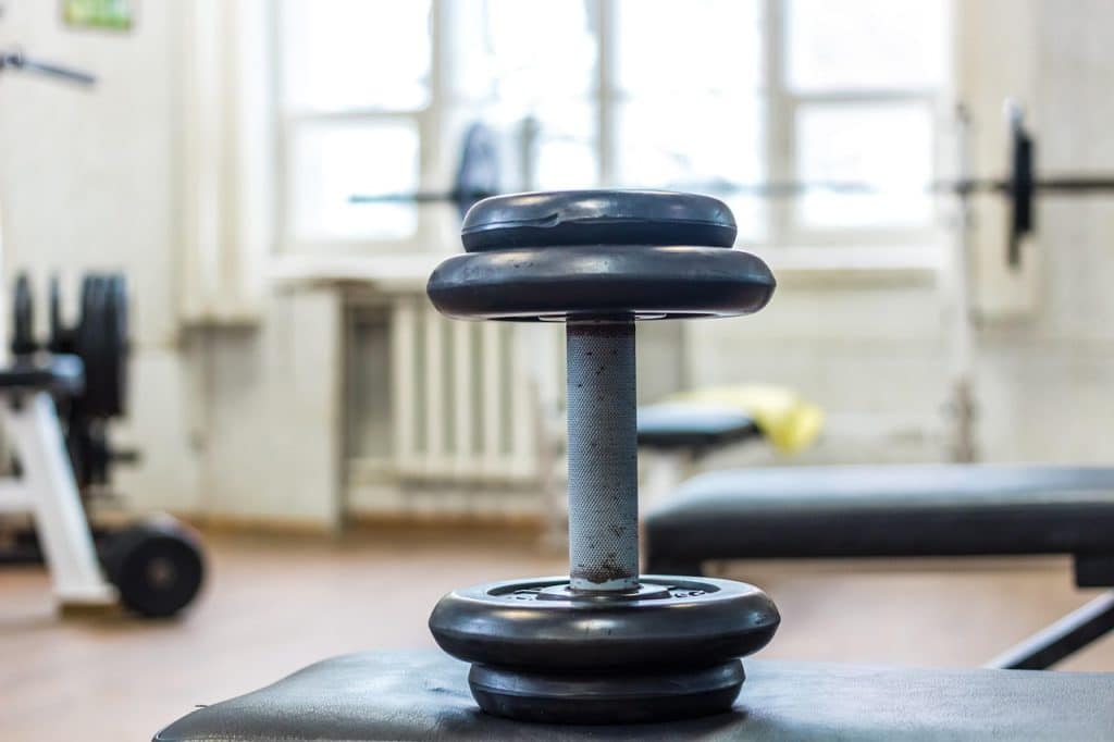 dumbbell workout plan